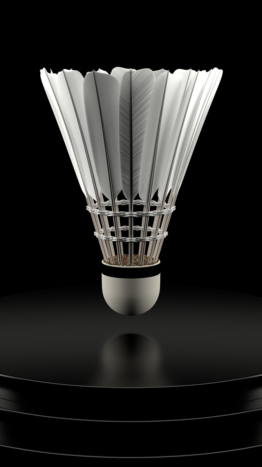 球速度和网 球速度和网